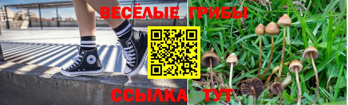 наркота  Псилоцибиновые грибы Psilocybine cubensis  Вход с VPN  Ижевск 